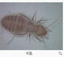 第326页